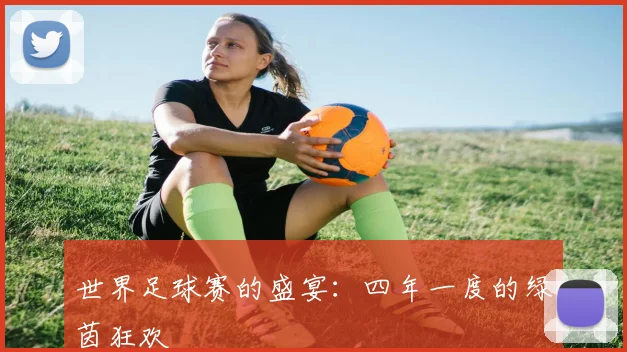 世界足球赛的盛宴:四年一度的绿茵狂欢