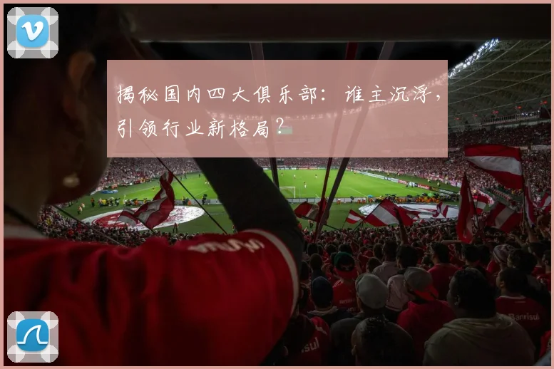 揭秘国内四大俱乐部：谁主沉浮，引领行业新格局？