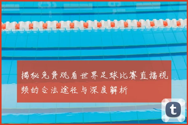 揭秘免费观看世界足球比赛直播视频的合法途径与深度解析