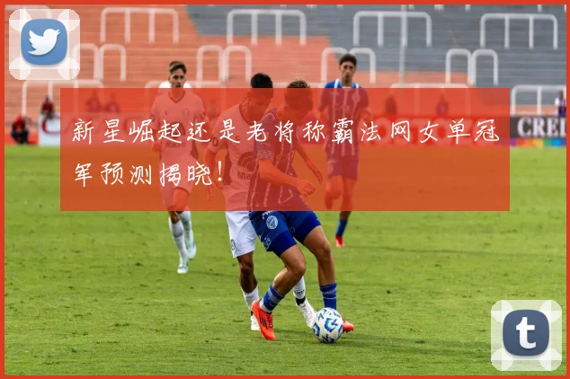 新星崛起还是老将称霸法网女单冠军预测揭晓！